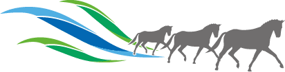 FLEVORUITER_LOGOTRANS