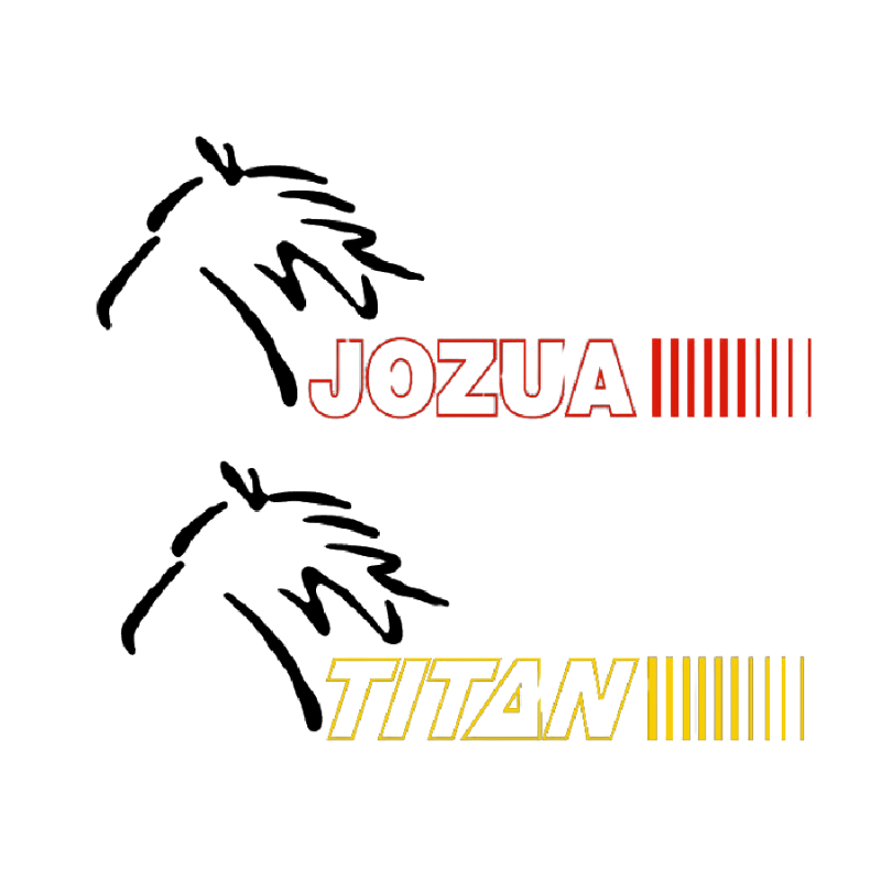 Jozua jozua