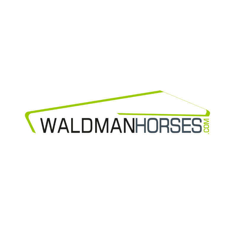 Waldman waldman horses
